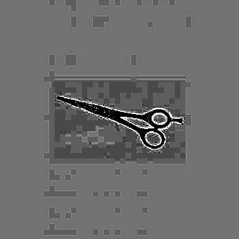 Solingen Hydra Profesyonel Berber Makası 5516/7